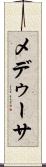 メデゥーサ Scroll