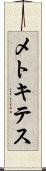 メトキテス Scroll
