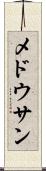 メドウサン Scroll