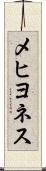 メヒヨネス Scroll
