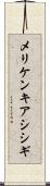 メリケンキアシシギ Scroll