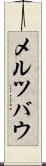 メルツバウ Scroll