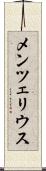メンツェリウス Scroll