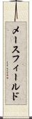 メースフィールド Scroll