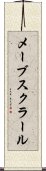 メーブスクラール Scroll