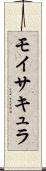 モイサキュラ Scroll