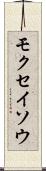 モクセイソウ Scroll