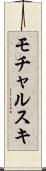 モチャルスキ Scroll
