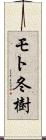 モト冬樹 Scroll