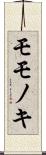 モモノキ Scroll