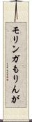 モリンガ Scroll