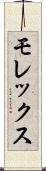 モレックス Scroll