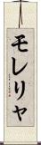 モレリャ Scroll