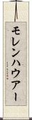 モレンハウアー Scroll