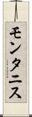 モンタニス Scroll