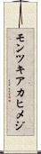 モンツキアカヒメジ Scroll