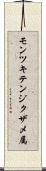 モンツキテンジクザメ属 Scroll