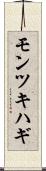 モンツキハギ Scroll