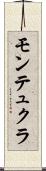 モンテュクラ Scroll