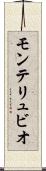 モンテリュビオ Scroll