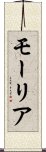 モーリア Scroll