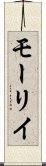 モーリイ Scroll