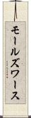 モールズワース Scroll