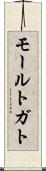 モールトガト Scroll