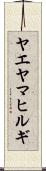ヤエヤマヒルギ Scroll