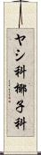 ヤシ科 Scroll