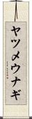 ヤツメウナギ Scroll