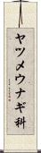 ヤツメウナギ科 Scroll