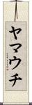 ヤマウチ Scroll