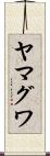 ヤマグワ Scroll