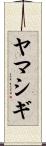 ヤマシギ Scroll