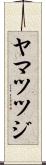 ヤマツツジ Scroll