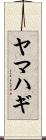 ヤマハギ Scroll
