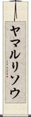 ヤマルリソウ Scroll