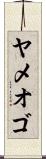 ヤメオゴ Scroll