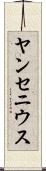 ヤンセニウス Scroll