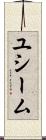 ユシーム Scroll
