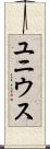 ユニウス Scroll