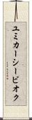ユミカーシービオク Scroll