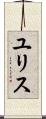ユリス Scroll