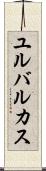 ユルバルカス Scroll