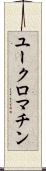 ユークロマチン Scroll