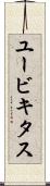ユービキタス Scroll