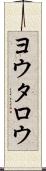 ヨウタロウ Scroll