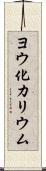 ヨウ化カリウム Scroll