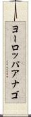 ヨーロッパアナゴ Scroll